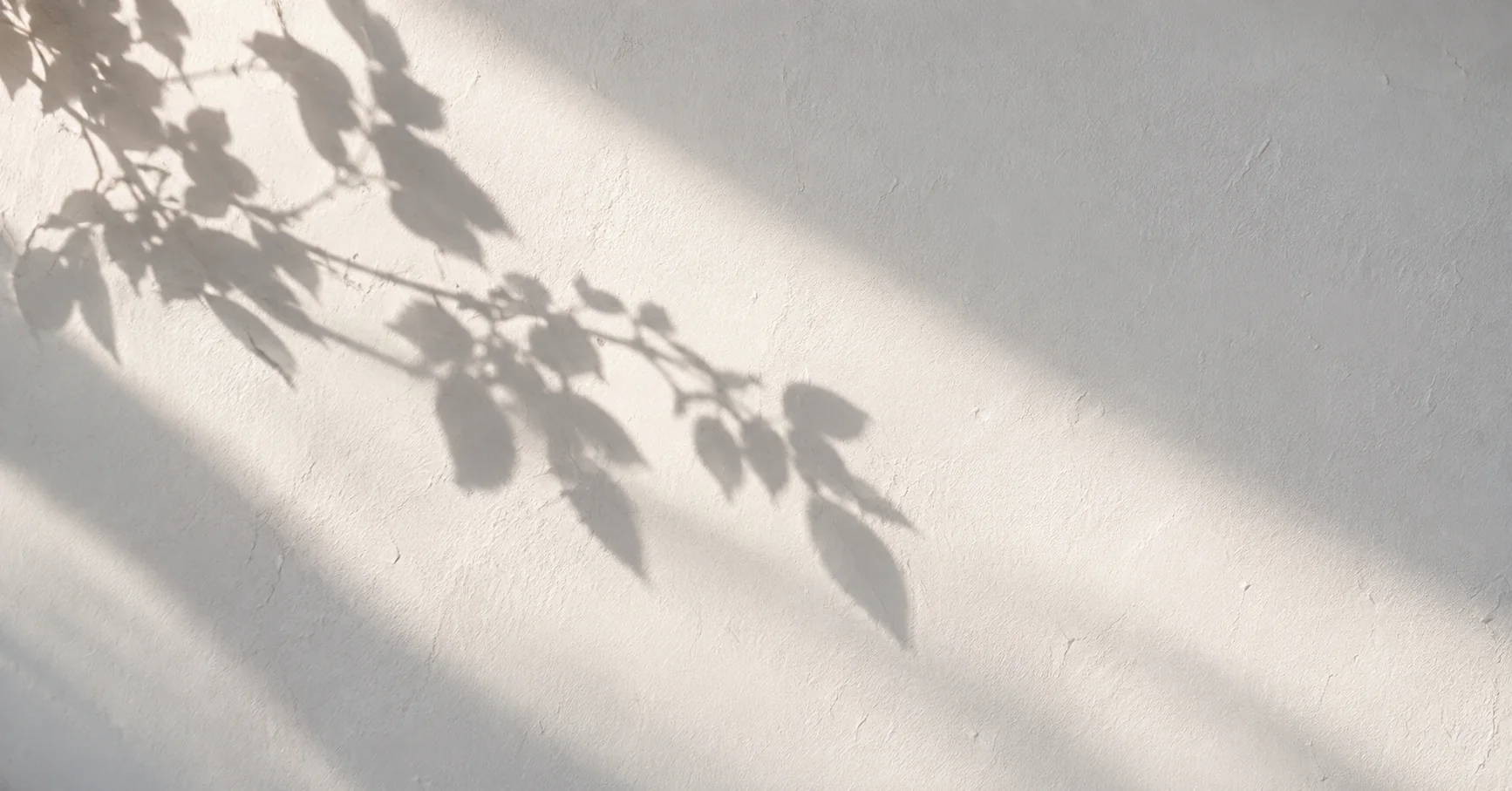 La sombra de una rama cruza una pared blanca iluminada por el sol.
